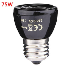 Load image into Gallery viewer, Far Infrared Pet Heating Lamp Ceramic Pet Heating Lamp Light Bulb Pet Brooder Chickens Reptile Lamp 25W 50W 75W 100W Heat shield
