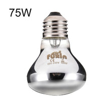 Load image into Gallery viewer, Far Infrared Pet Heating Lamp Ceramic Pet Heating Lamp Light Bulb Pet Brooder Chickens Reptile Lamp 25W 50W 75W 100W Heat shield
