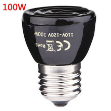 Load image into Gallery viewer, Far Infrared Pet Heating Lamp Ceramic Pet Heating Lamp Light Bulb Pet Brooder Chickens Reptile Lamp 25W 50W 75W 100W Heat shield

