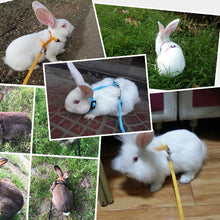 Load image into Gallery viewer, Pet Rabbit Soft Harness Leash Adjustable Bunny Traction Rope for Running Walking WXV Sale
