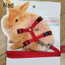 Load image into Gallery viewer, Pet Rabbit Soft Harness Leash Adjustable Bunny Traction Rope for Running Walking WXV Sale
